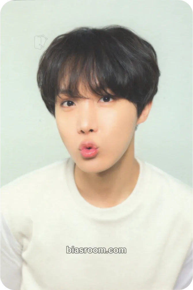 j-hope Love Yourself World Tour Photocard - BTS - BTS K-pop photocard