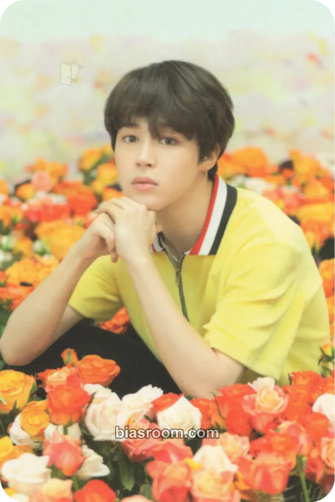 Jimin Love Yourself World Tour Photocard - BTS - BTS K-pop photocard