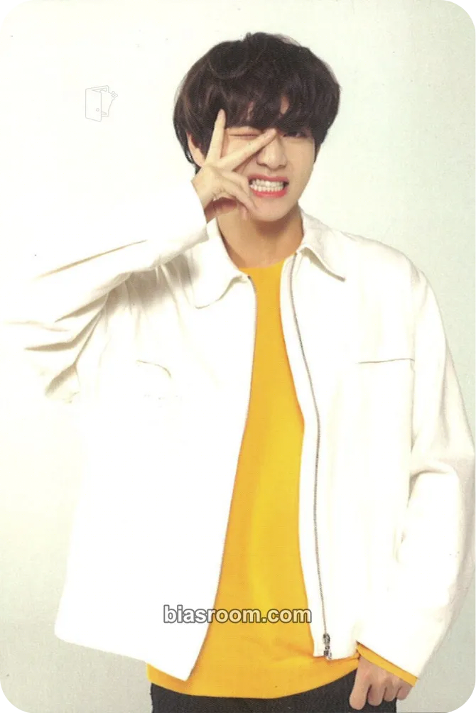 V Love Yourself World Tour Photocard - BTS - BTS K-pop photocard