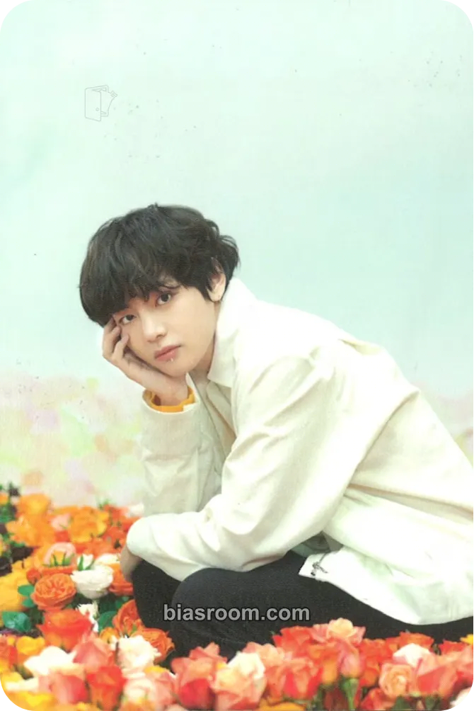 V Love Yourself World Tour Photocard - BTS - BTS K-pop photocard