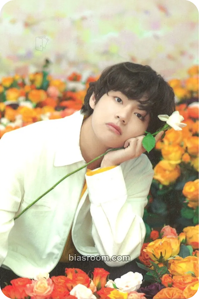 V Love Yourself World Tour Photocard - BTS - BTS K-pop photocard