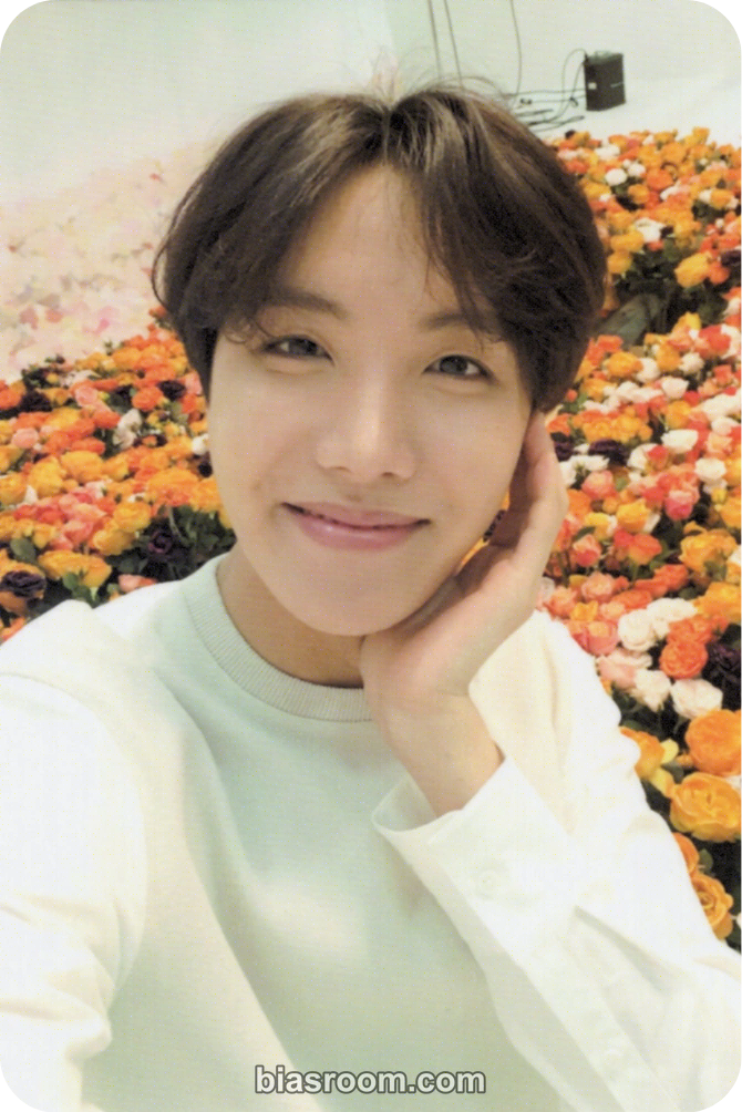 j-hope Love Yourself World Tour Photocard - BTS - BTS K-pop photocard