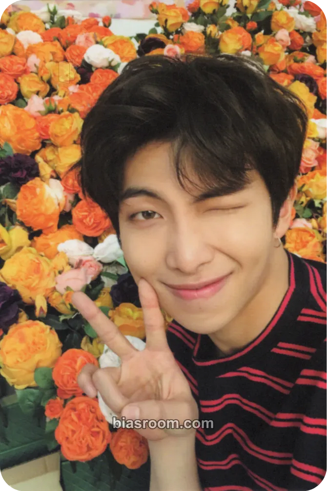 RM Love Yourself World Tour Photocard - BTS - BTS K-pop photocard
