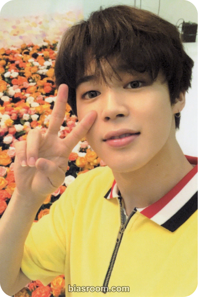Jimin Love Yourself World Tour Photocard - BTS - BTS K-pop photocard
