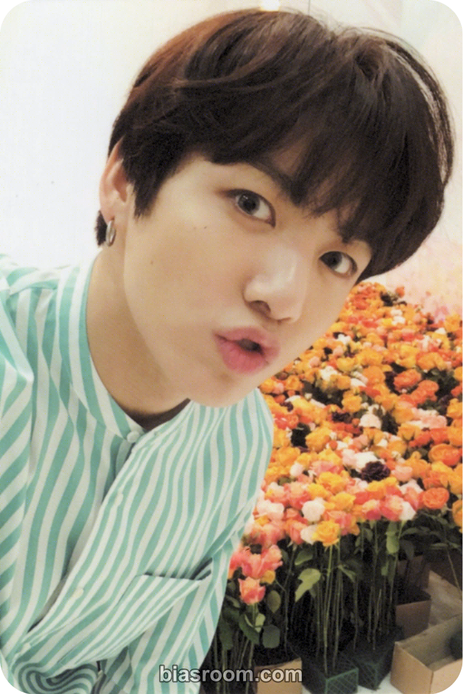 Jungkook Love Yourself World Tour Photocard - BTS - BTS K-pop photocard