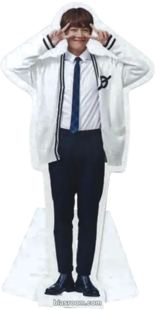 BTS - V - 3rd Muster ARMY ZIP+ DVD & Bluray Other bluray ver. standee