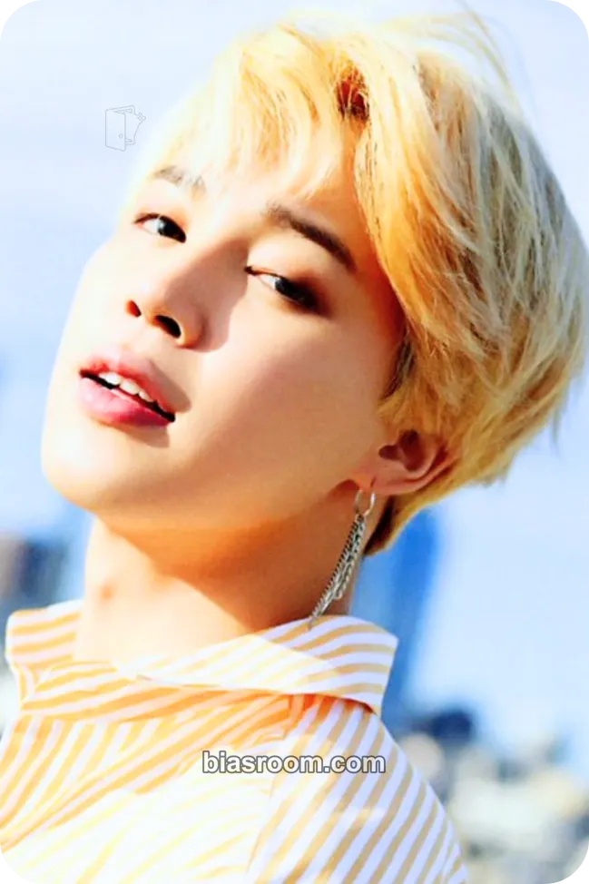 Jimin D'ICON 101 Photocard - BTS - BTS K-pop photocard