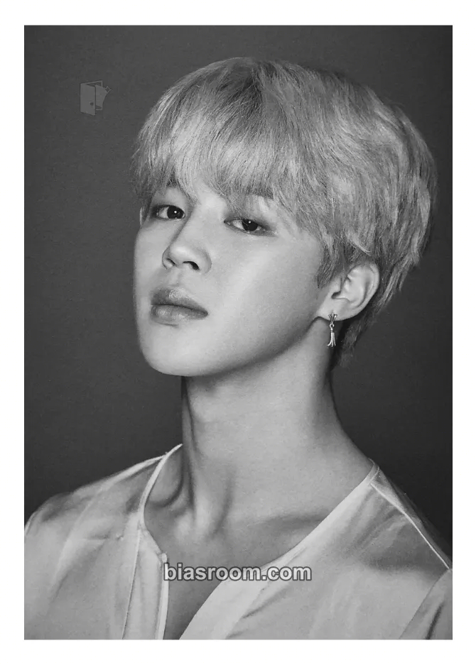 Jimin The Wings Tour - The Final Photocard - BTS - BTS K-pop photocard