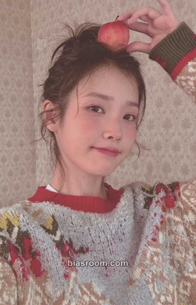 IU 2025 SEASON'S GREETINGS Photocard - IU K-pop photocard