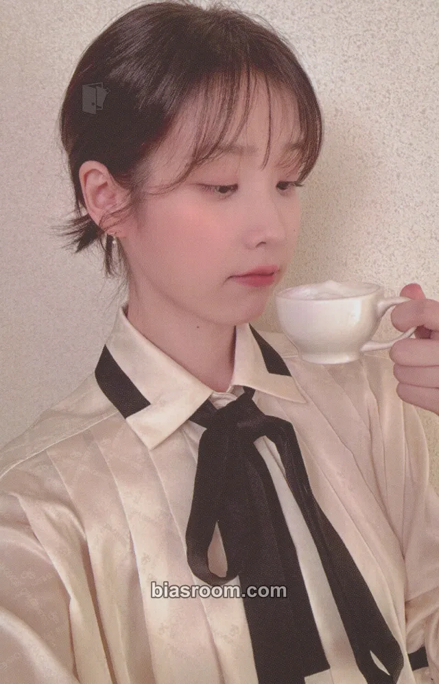 IU 2025 SEASON'S GREETINGS Photocard - IU K-pop photocard