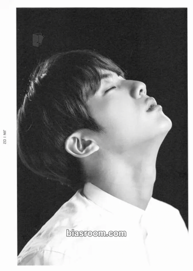 Jin BTS Live Trilogy Episode III: The Wings Tour Photocard - BTS - BTS K-pop photocard
