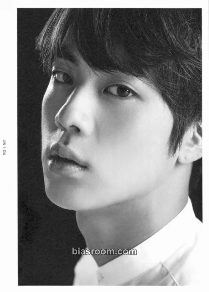 Jin BTS Live Trilogy Episode III: The Wings Tour Photocard - BTS - BTS K-pop photocard