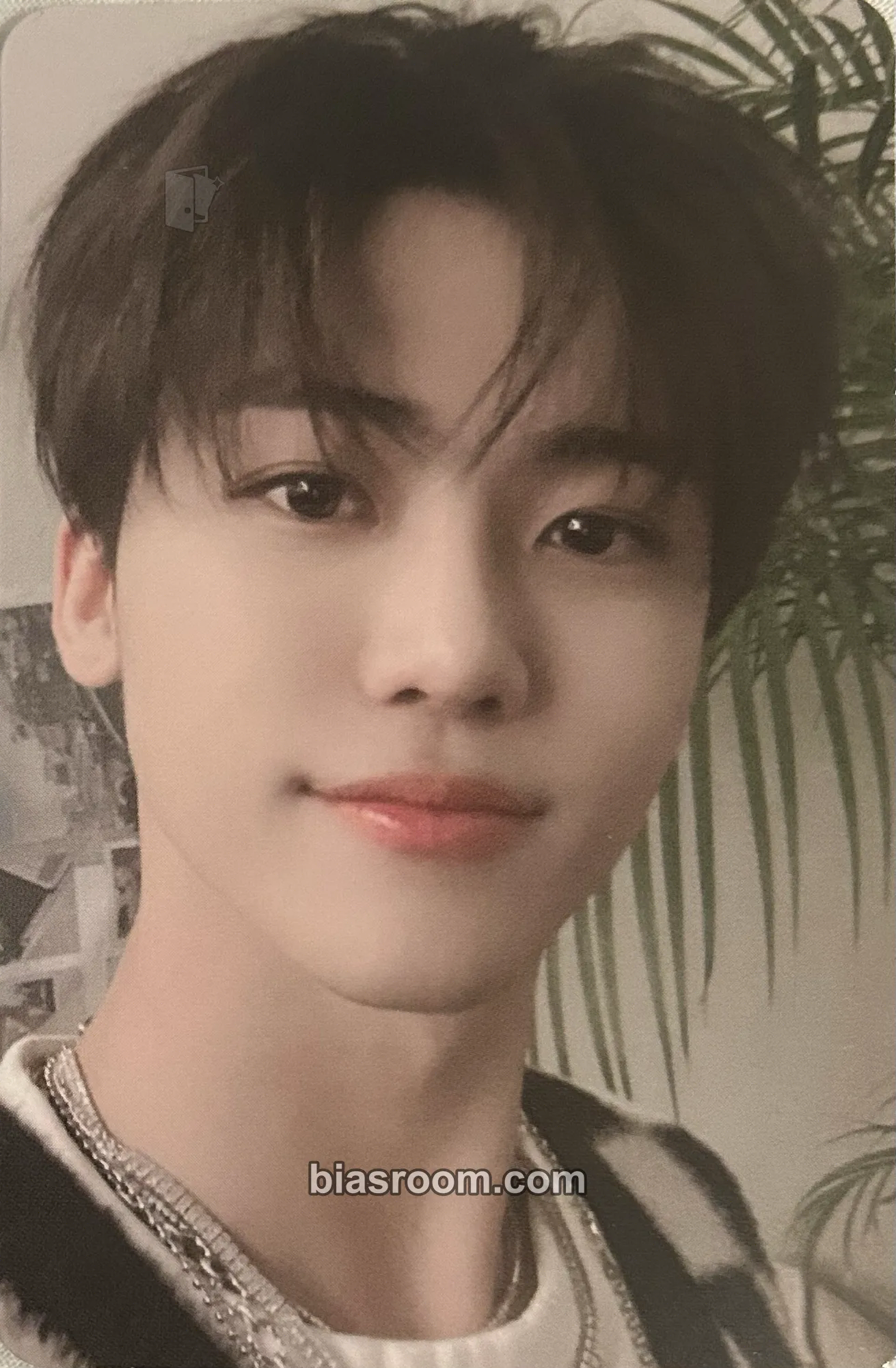 Jaemin Hot Sauce Photocard - NCT DREAM - NCT DREAM K-pop photocard