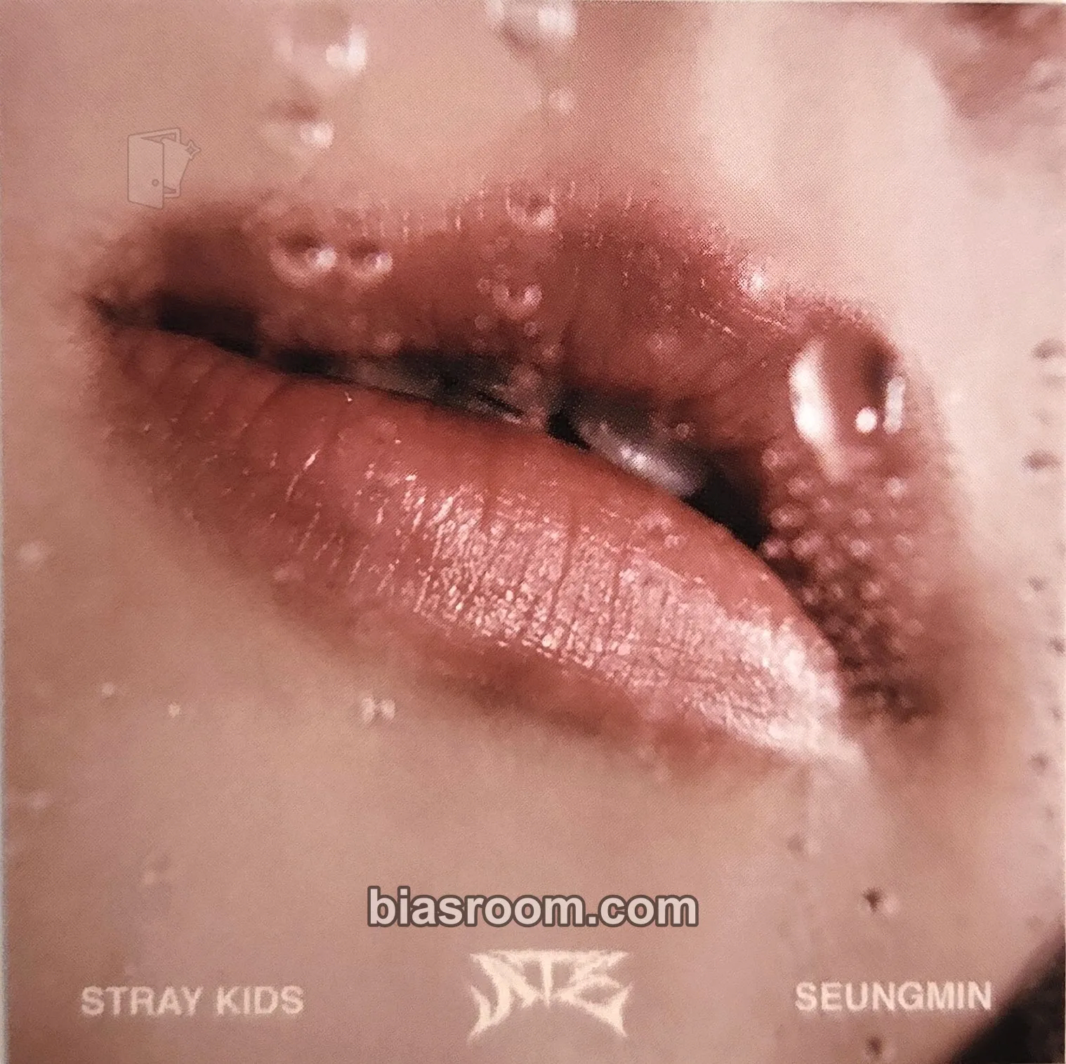 Seungmin ATE Photocard - Stray Kids - Stray Kids K-pop photocard