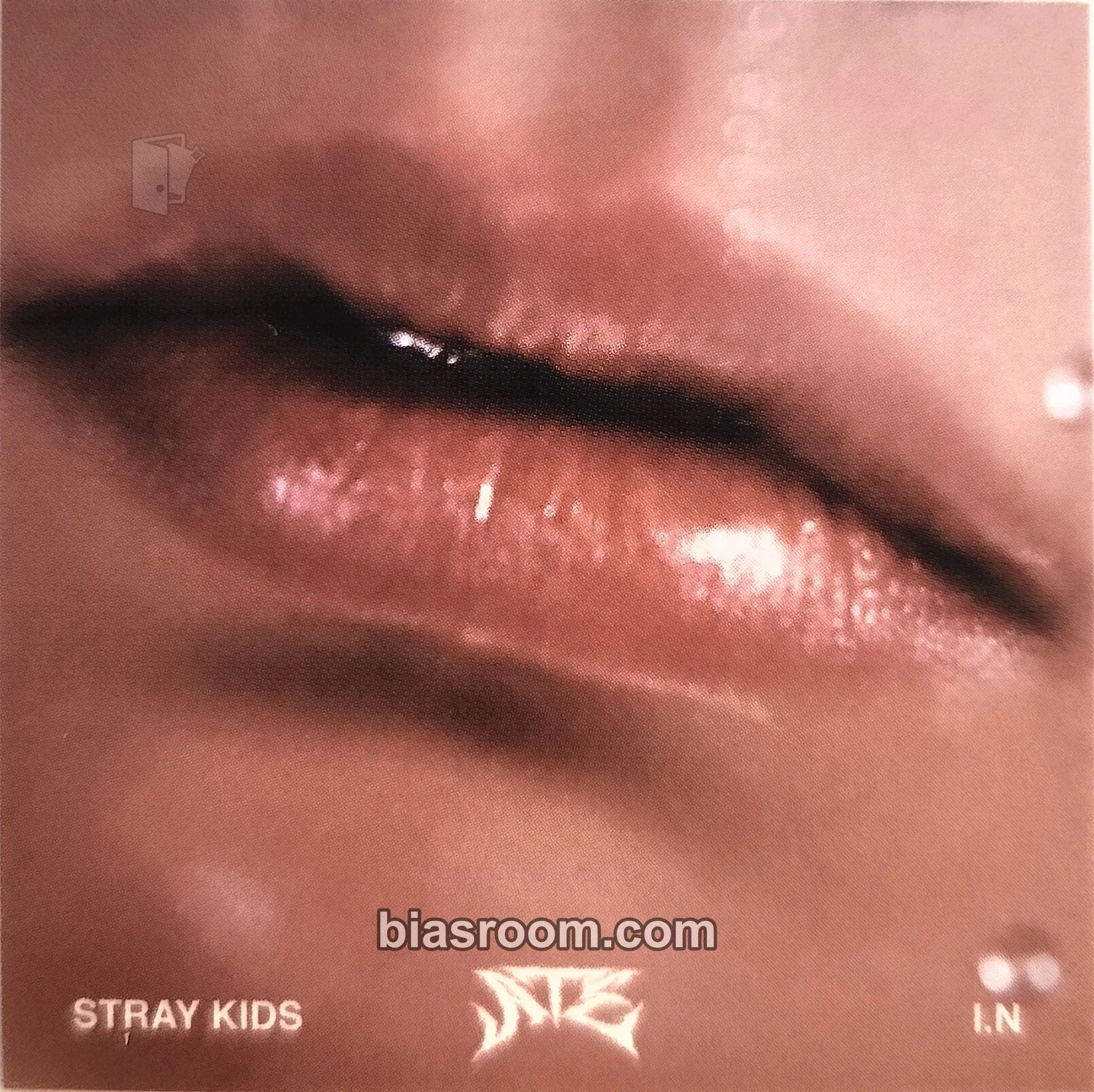 I.N ATE Photocard - Stray Kids - Stray Kids K-pop photocard