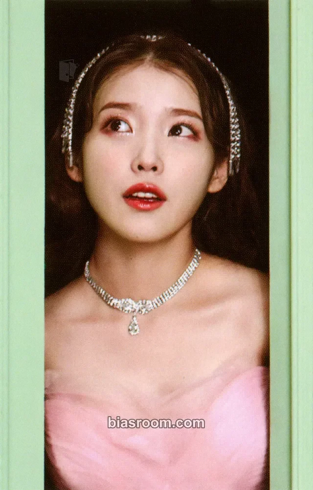 IU - IU - [Celebrity] PHOTO CARD SET Other photocard set