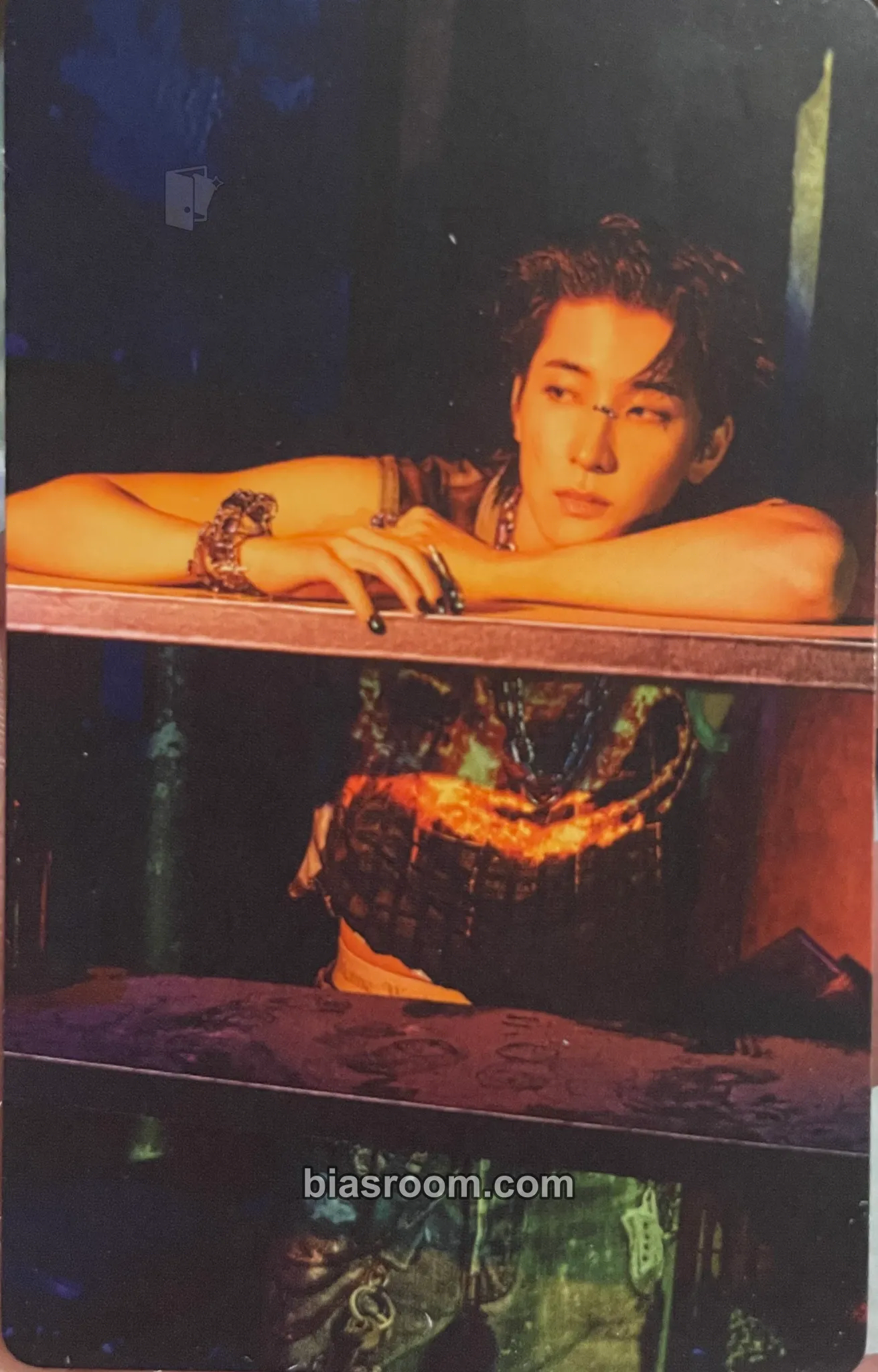 Wonwoo HAPPY BURSTDAY Photocard - SEVENTEEN - SEVENTEEN K-pop photocard