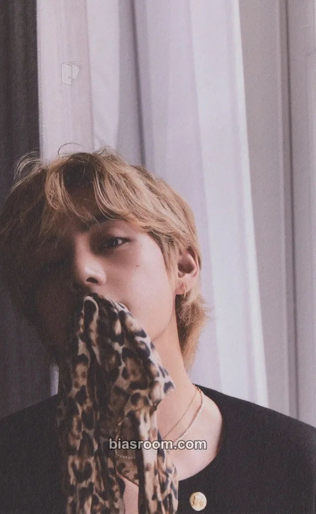 V Rêvé (Reve) Photobook Photocard - BTS - BTS K-pop photocard