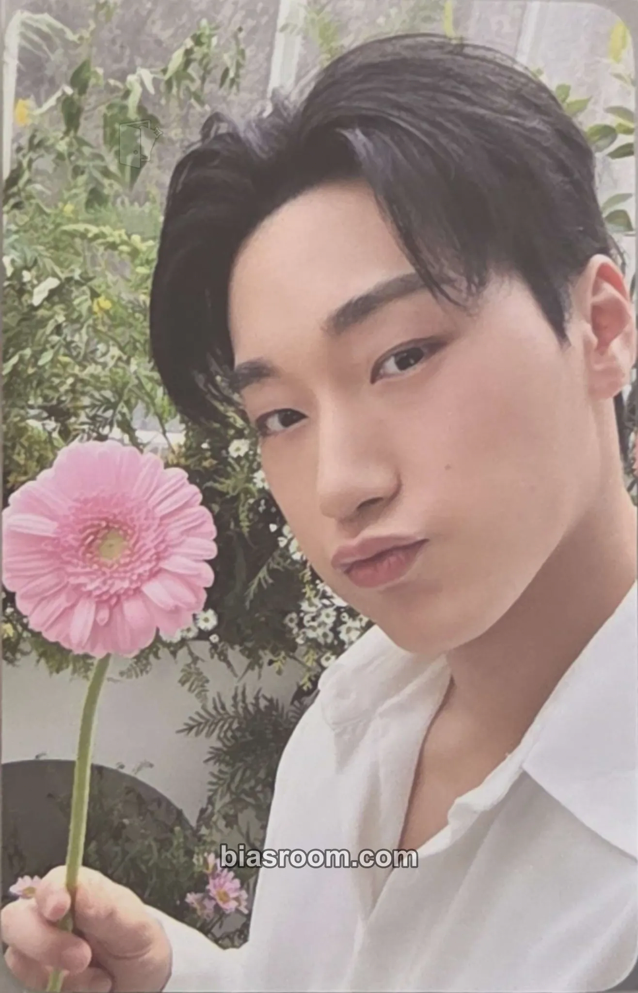 San NACIFIC × ATEEZ Photocard - ATEEZ - ATEEZ K-pop photocard