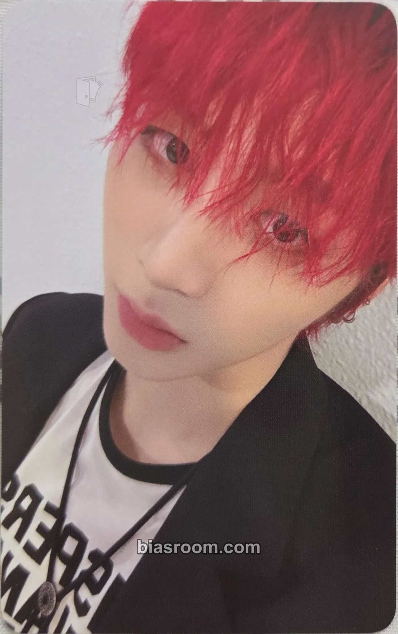 Taesan 2025 Lollapalooza Aftershow Photocard - BOYNEXTDOOR - BOYNEXTDOOR K-pop photocard