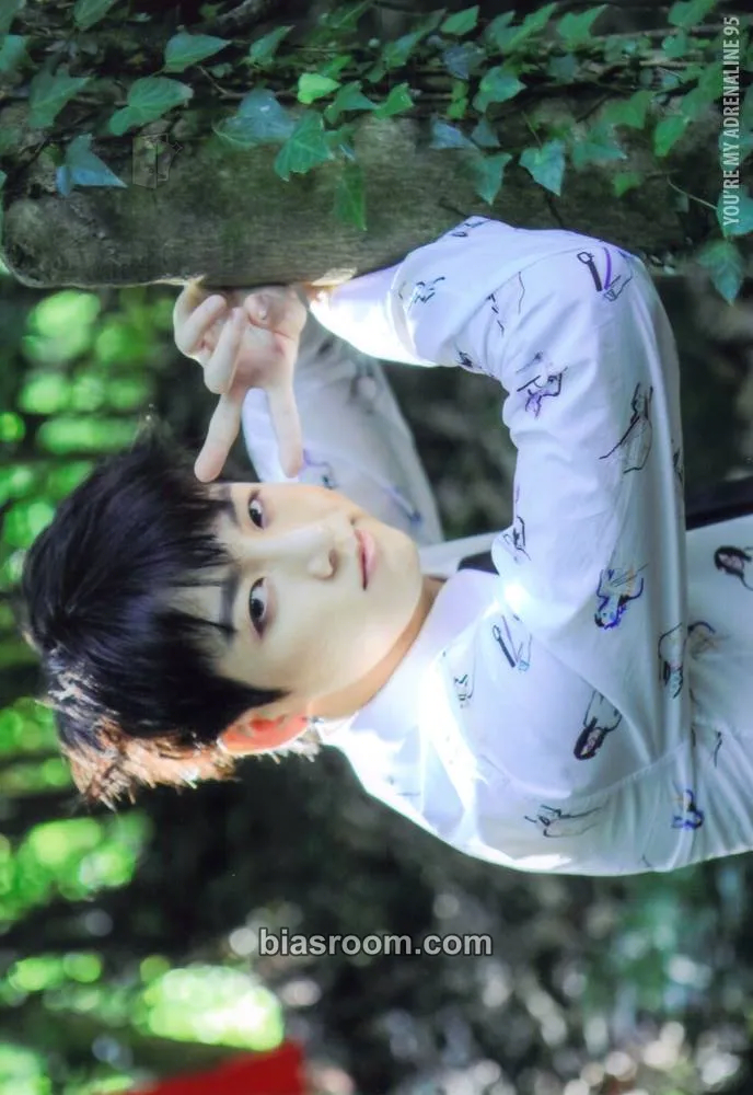 Jungkook Butterfly Dream Exhibition Photocard - BTS - BTS K-pop photocard
