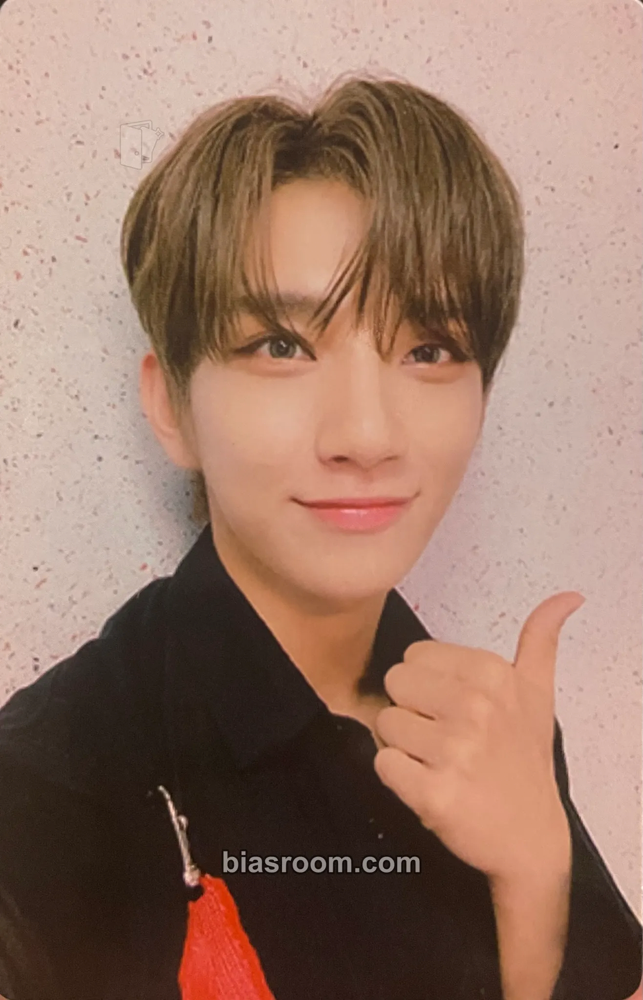 Joshua An Ode Photocard - SEVENTEEN - SEVENTEEN K-pop photocard