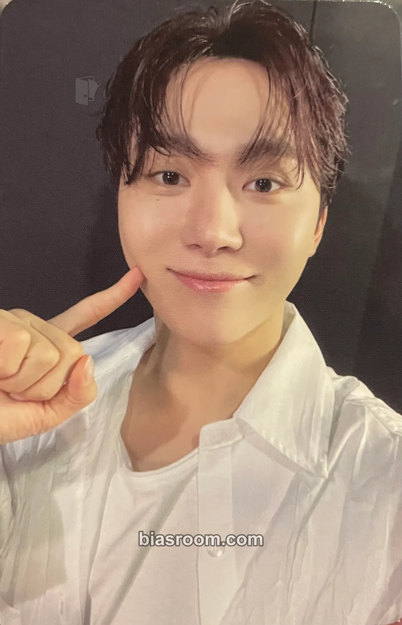 Seungkwan Spill the Feels Photocard - SEVENTEEN - SEVENTEEN K-pop photocard