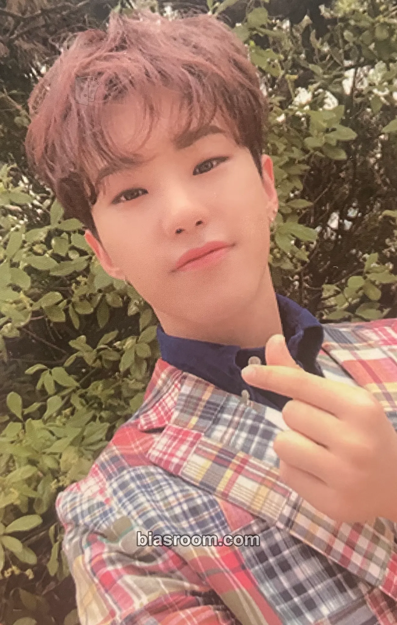 Hoshi An Ode Photocard - SEVENTEEN - SEVENTEEN K-pop photocard