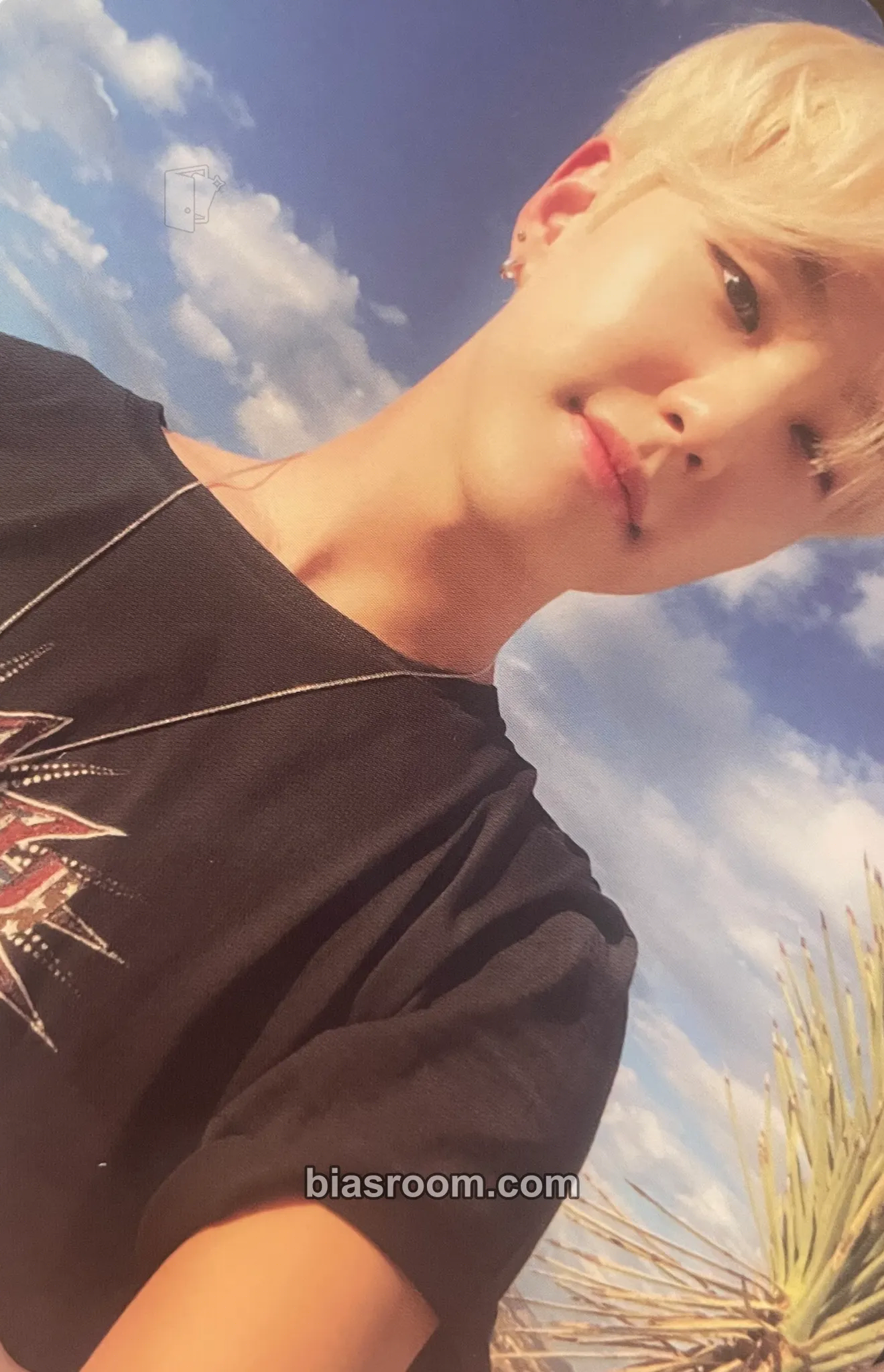 Hoshi Heng:garæ Photocard - SEVENTEEN - SEVENTEEN K-pop photocard