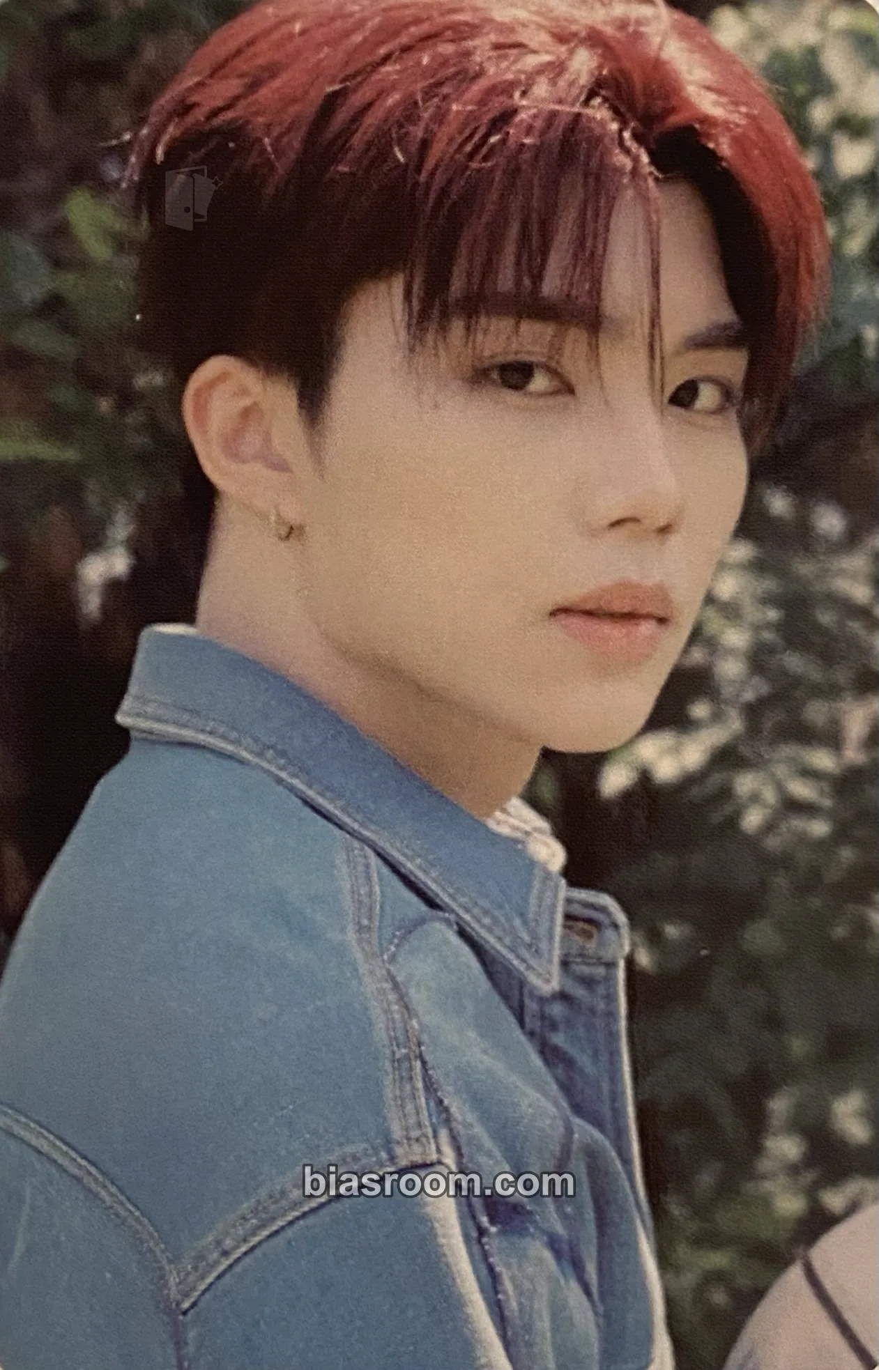 Gunwook Never Say Never Photocard - ZEROBASEONE - ZEROBASEONE K-pop photocard