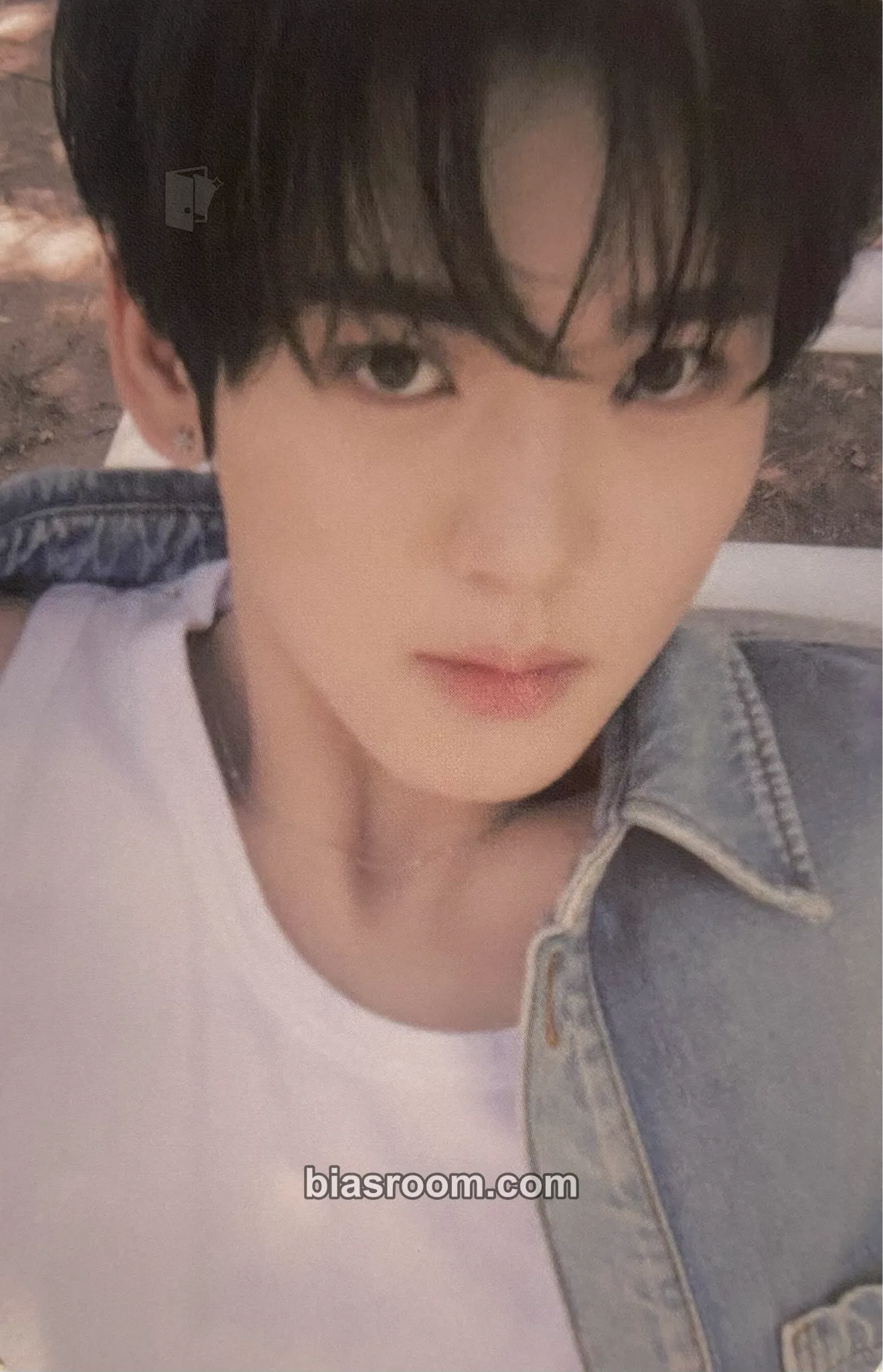 Yujin Never Say Never Photocard - ZEROBASEONE - ZEROBASEONE K-pop photocard