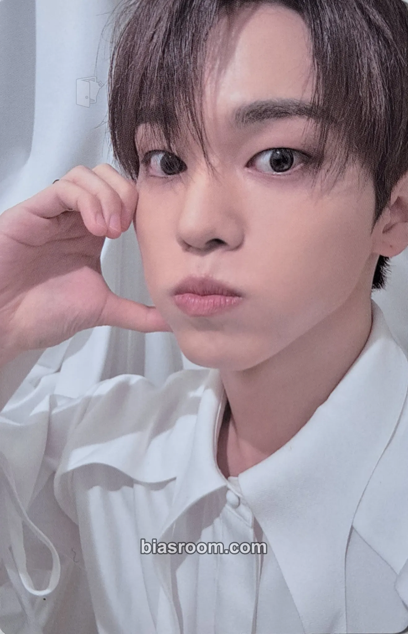 Yuto BEAUTIFUL SHADOW Photocard - ONF - ONF K-pop photocard