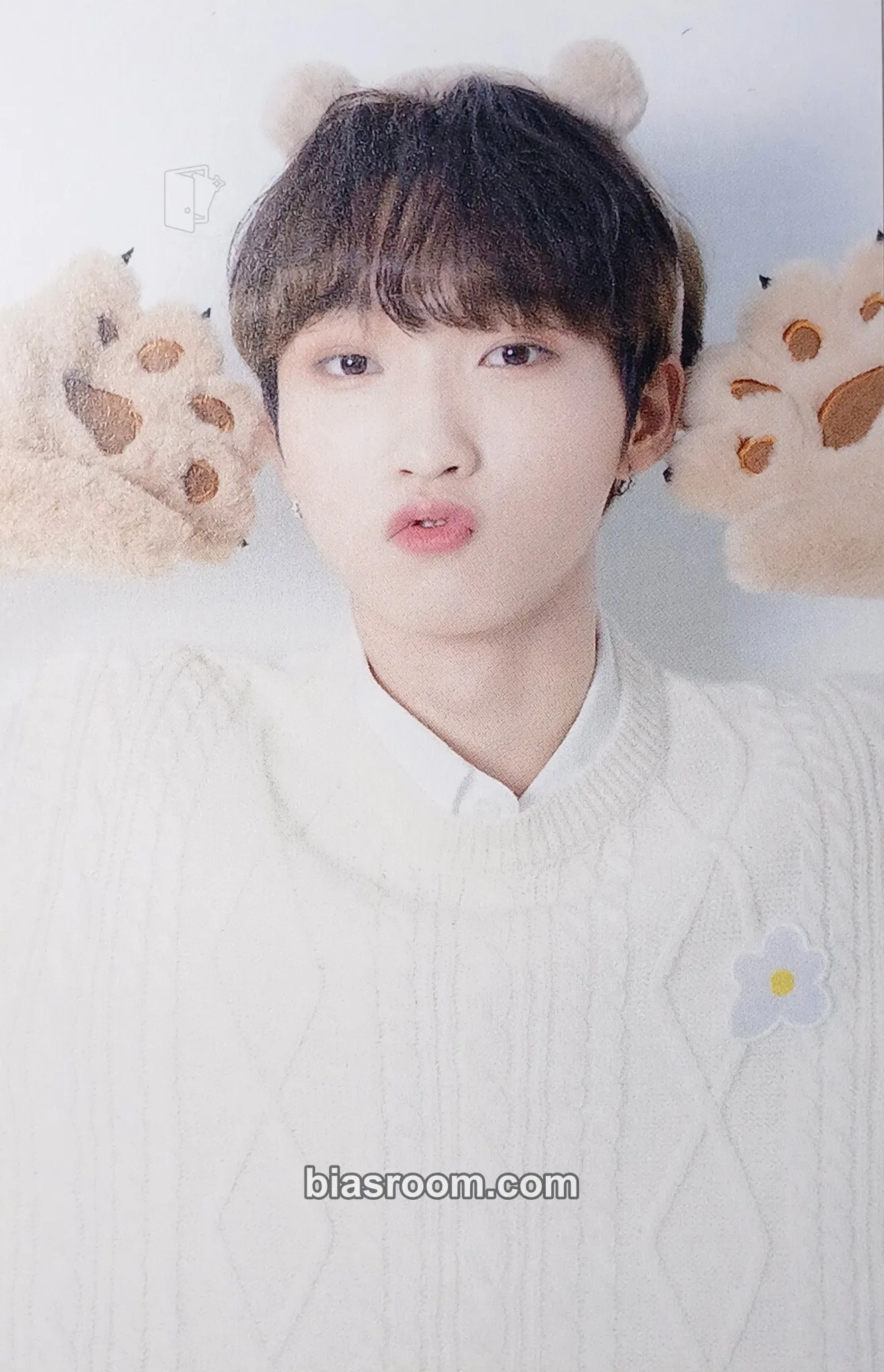 Yuku S Cawaii! ME 2024 SPRING Photocard - DKB - DKB K-pop photocard