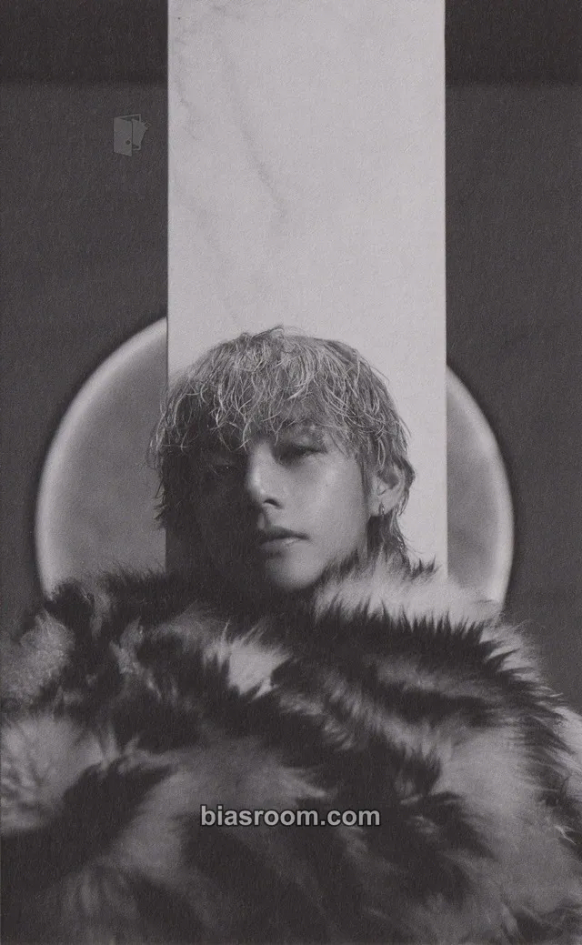 V Rêvé (Reve) Photobook Photocard - BTS - BTS K-pop photocard