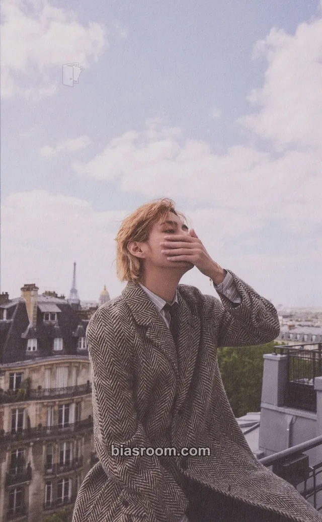 V Rêvé (Reve) Photobook Photocard - BTS - BTS K-pop photocard