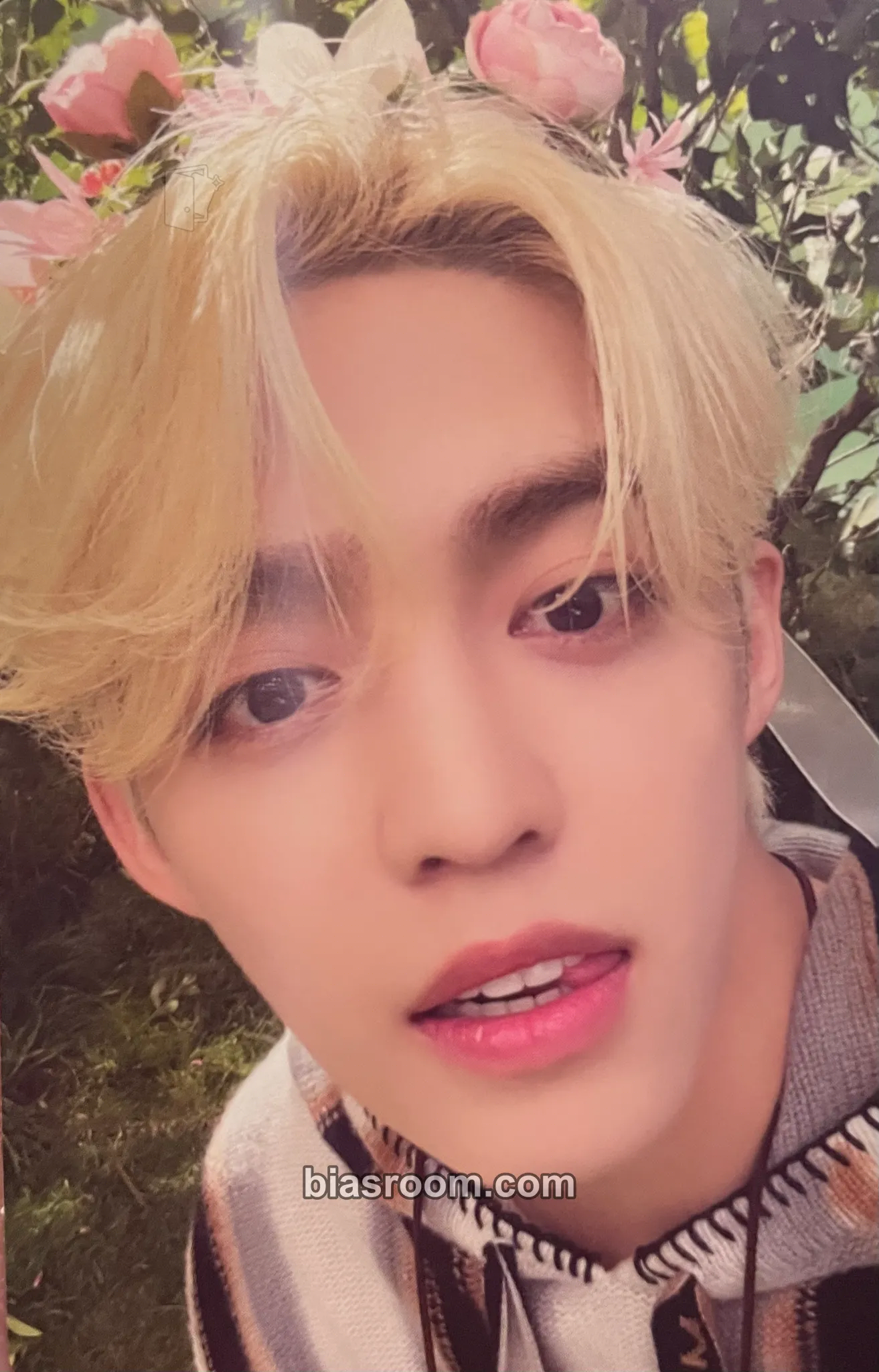 S.Coups Seventeenth Heaven Photocard - SEVENTEEN - SEVENTEEN K-pop photocard