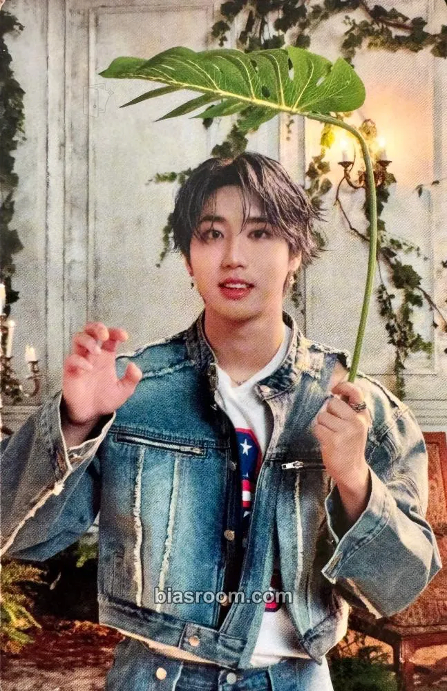 HAN Hollow Photocard - Stray Kids - Stray Kids K-pop photocard