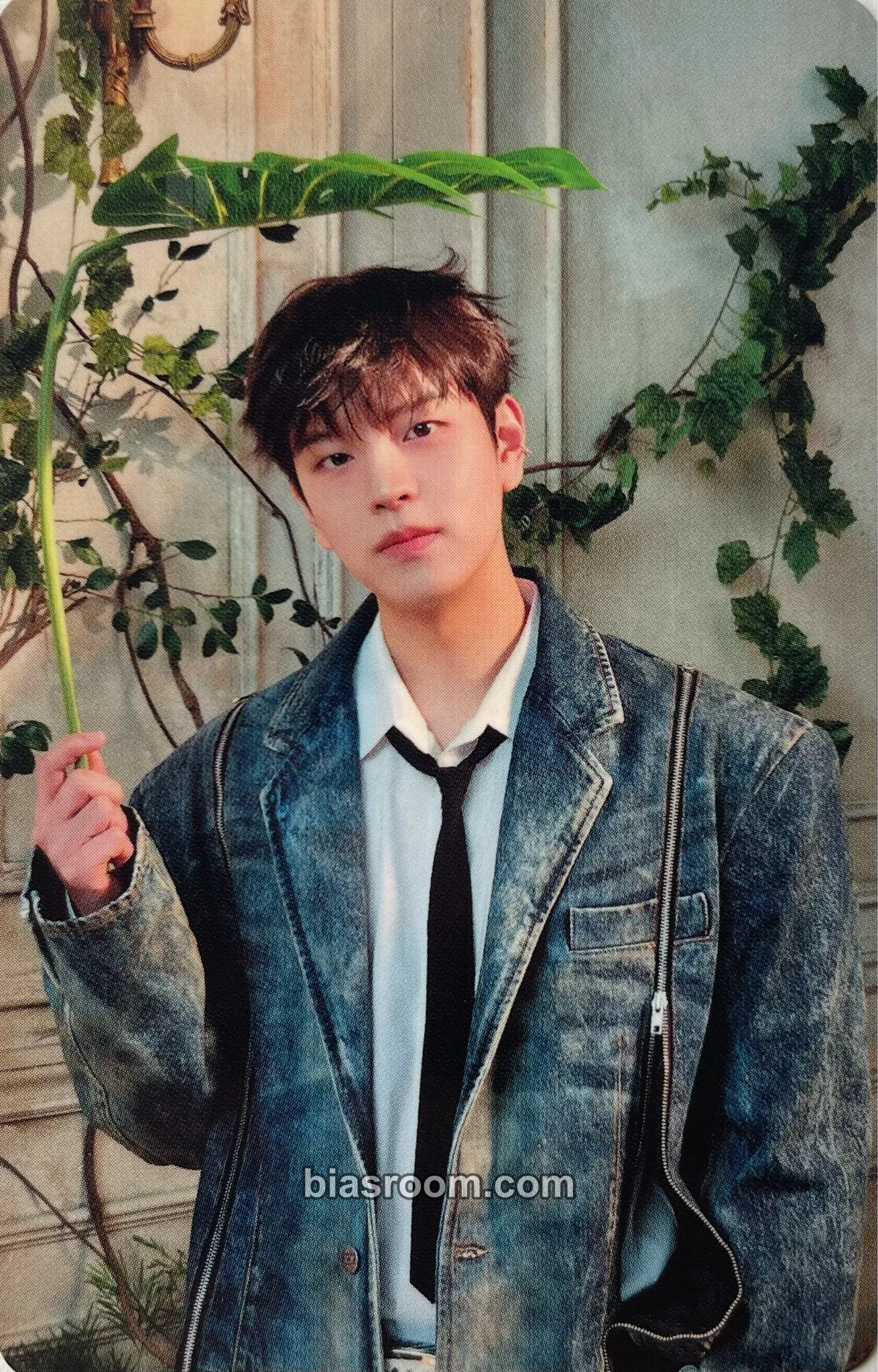 Seungmin Hollow Photocard - Stray Kids - Stray Kids K-pop photocard