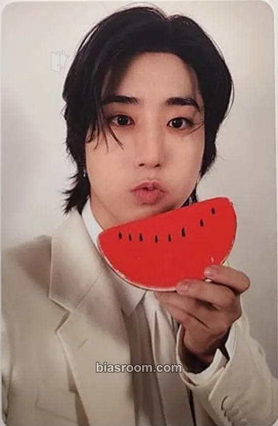 HAN DICON Volume N°21 Photocard - Stray Kids - Stray Kids K-pop photocard
