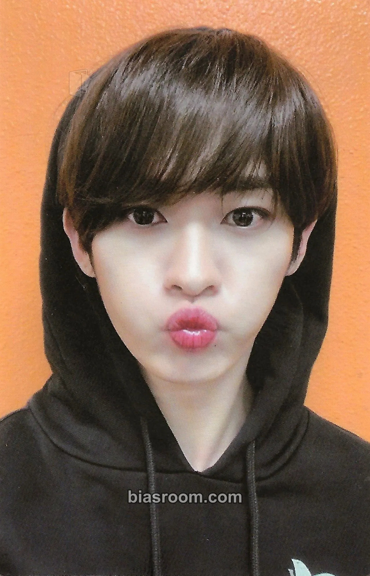 Lee Know GO LIVE Photocard - Stray Kids - Stray Kids K-pop photocard