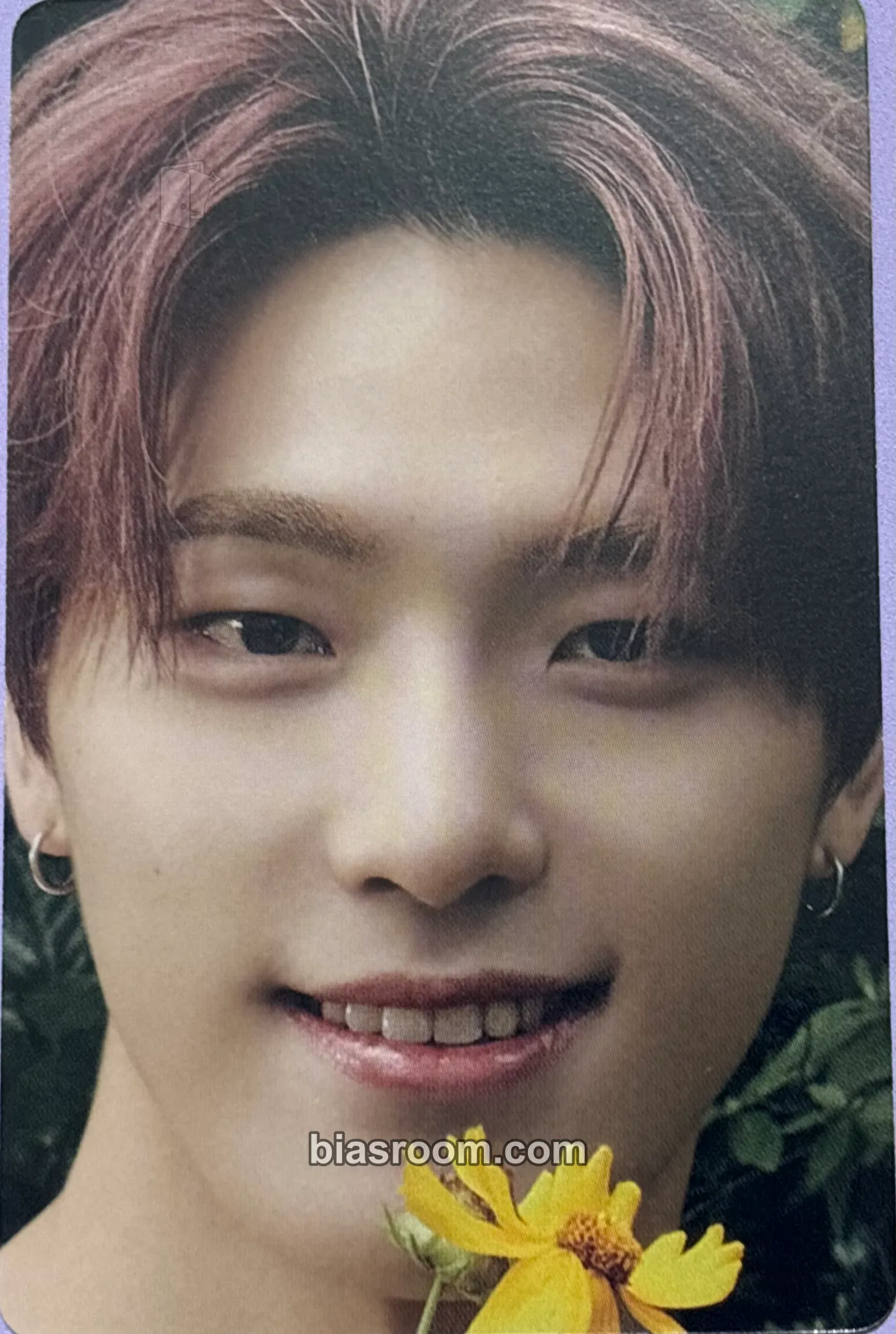 Dino DICON Photocard 101: Custom Book Photocard - SEVENTEEN - SEVENTEEN K-pop photocard