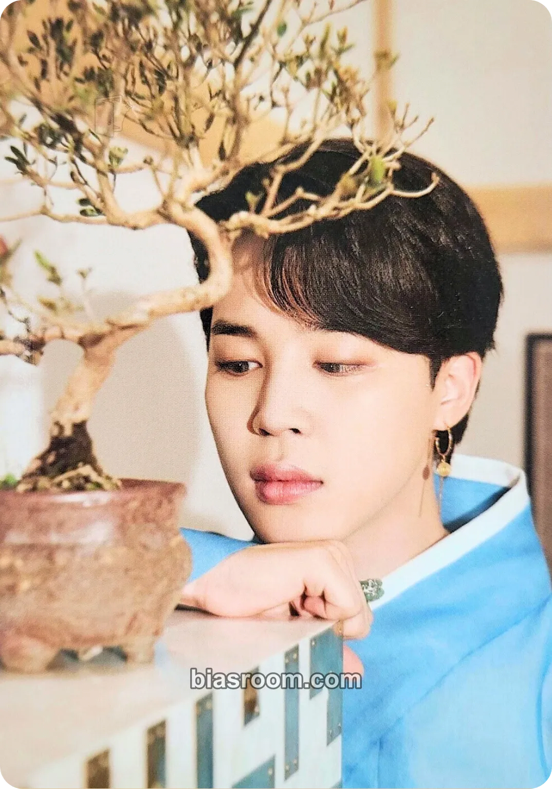 Jimin Dalmajung 2021 Photocard - BTS - BTS K-pop photocard
