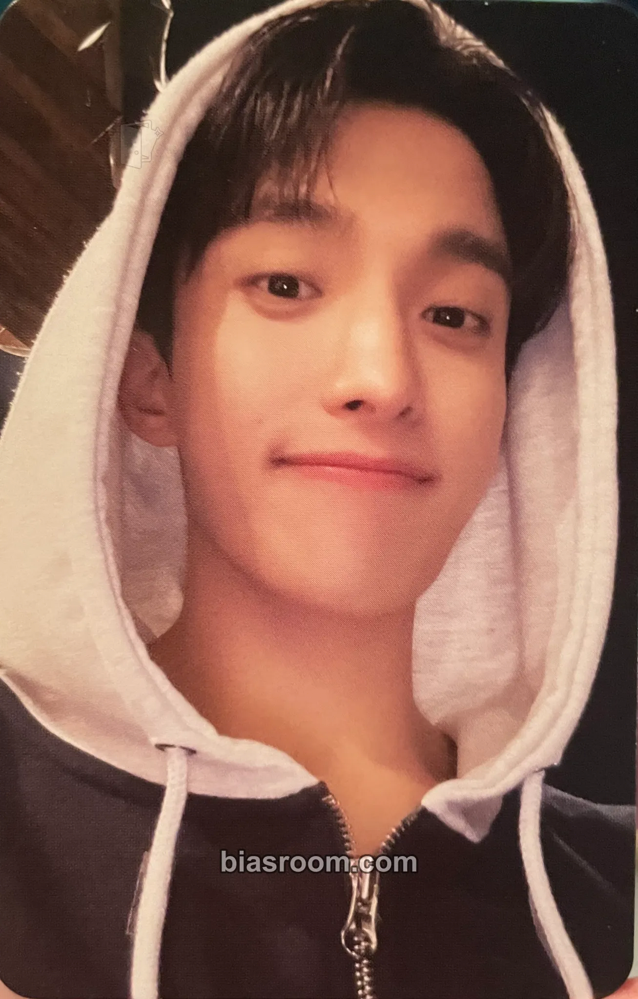 DK NANA bnb with SEVENTEEN VOD Photocard - SEVENTEEN - SEVENTEEN K-pop photocard