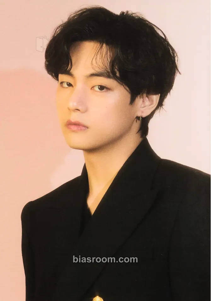 V The Daydream Believers Photocard - BTS - BTS K-pop photocard