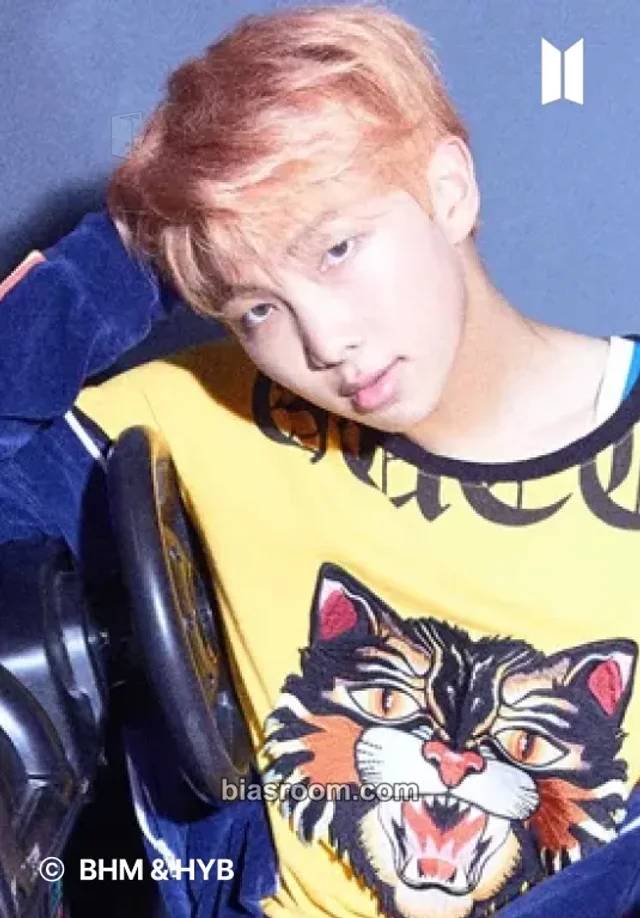 BTS - RM - Love Yourself: Her Album merch merch photocard lenticular postcard