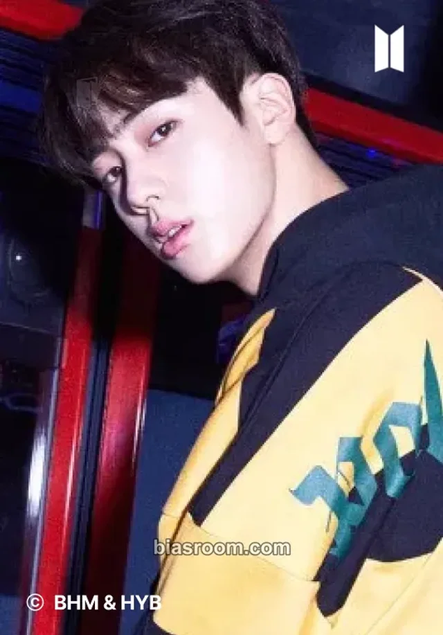 BTS - Jin - Love Yourself: Her Album merch merch photocard lenticular postcard