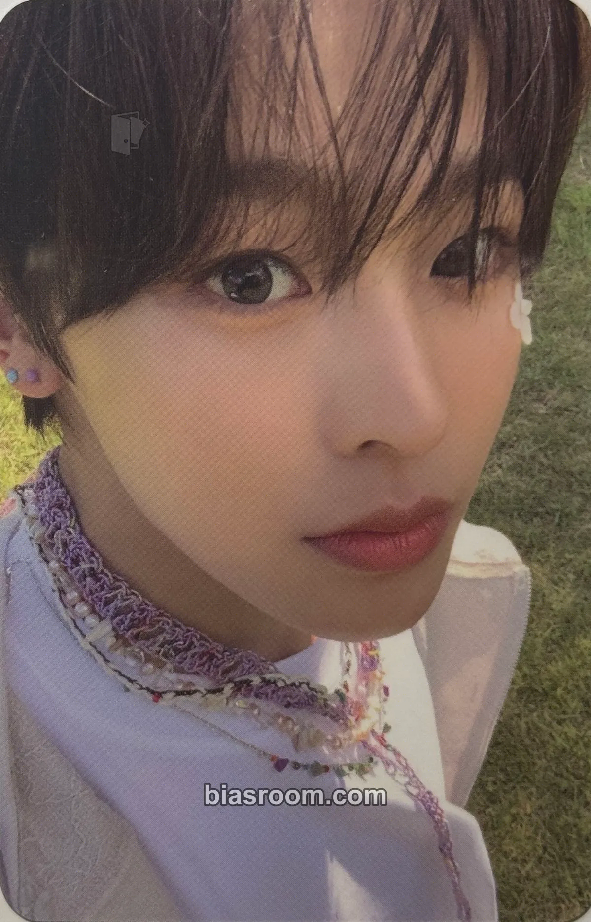 Riku Songbird Photocard - NCT WISH - NCT WISH K-pop photocard