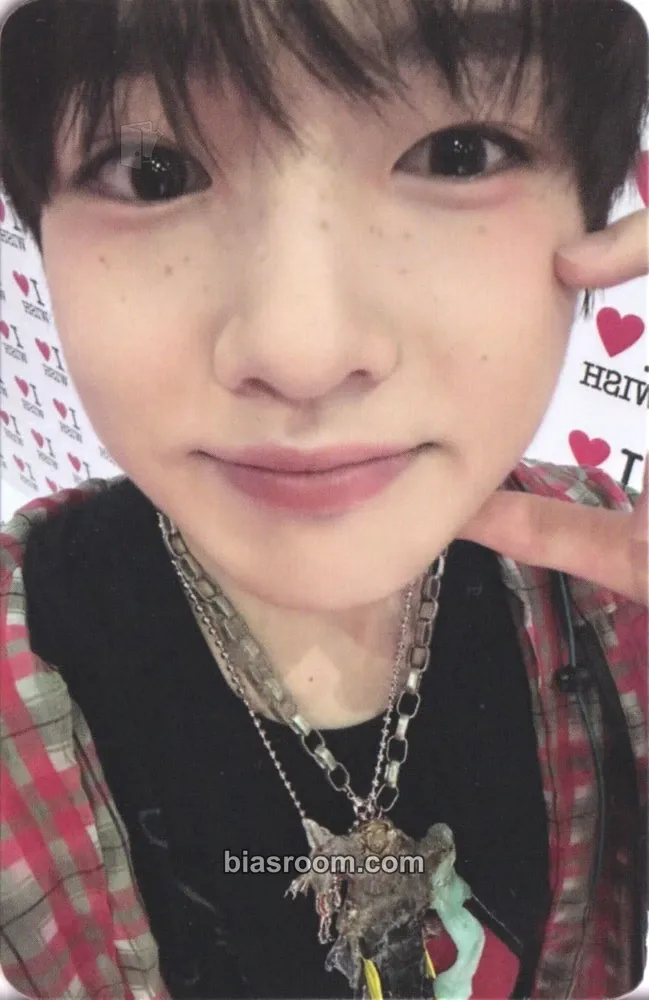 Sakuya Steady Photocard - NCT WISH - NCT WISH K-pop photocard