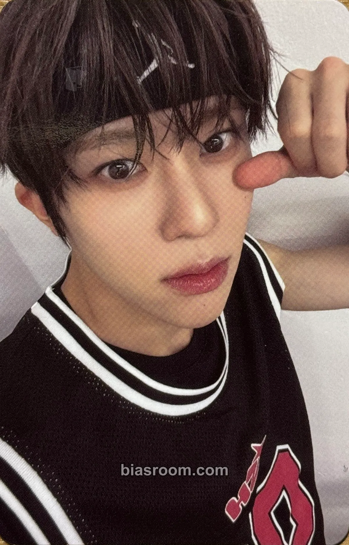 Sion Steady Photocard - NCT WISH - NCT WISH K-pop photocard