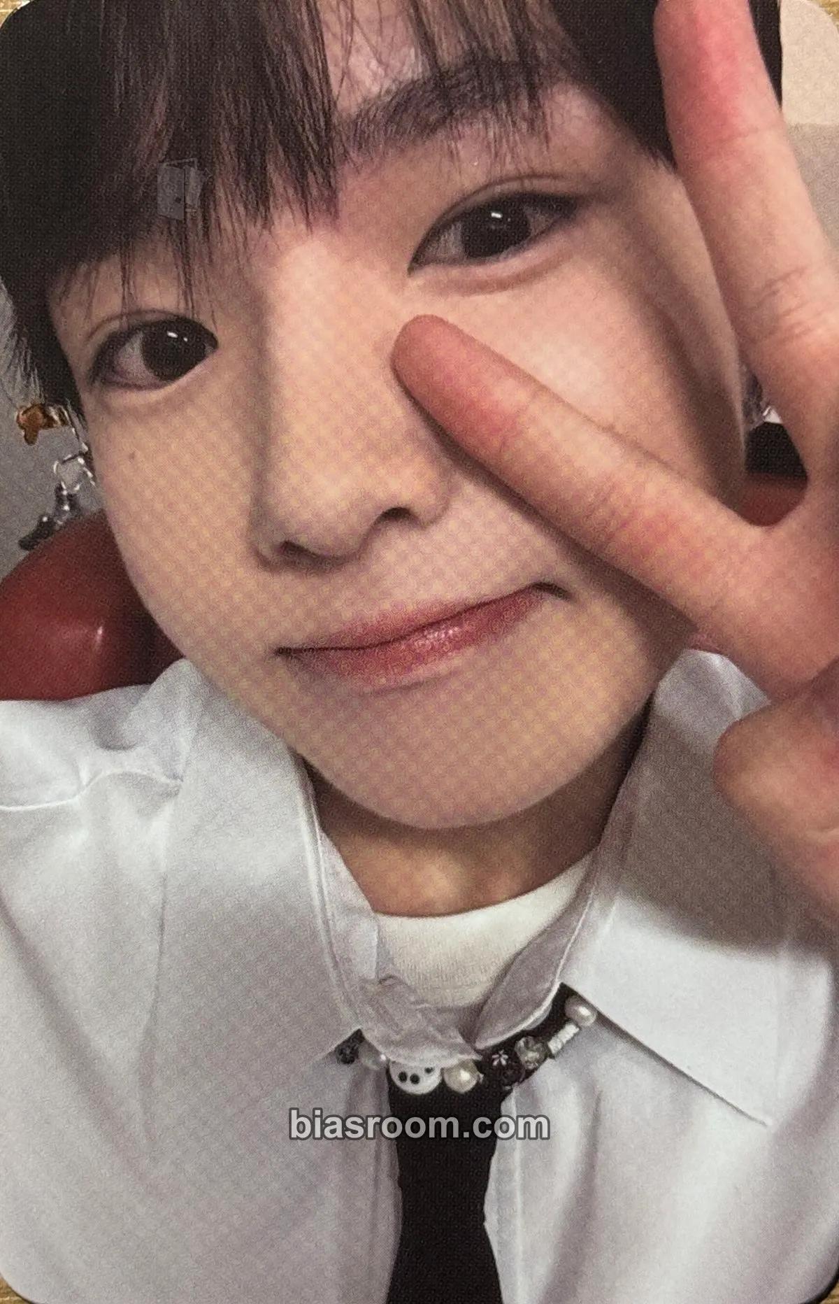 Sakuya Steady Photocard - NCT WISH - NCT WISH K-pop photocard